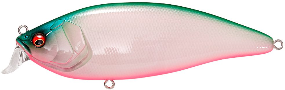 KONOSIRUS SHAD (F) PM BAYSIDE GREEN PB