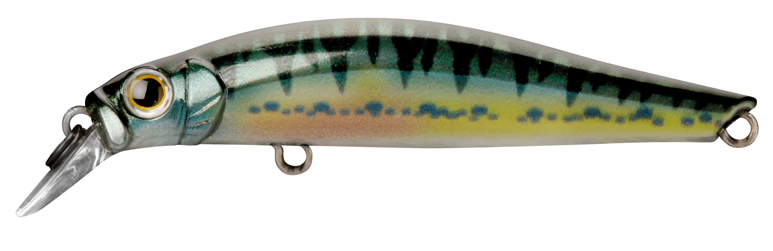 LEURRE JACKSON ARTIST FR70