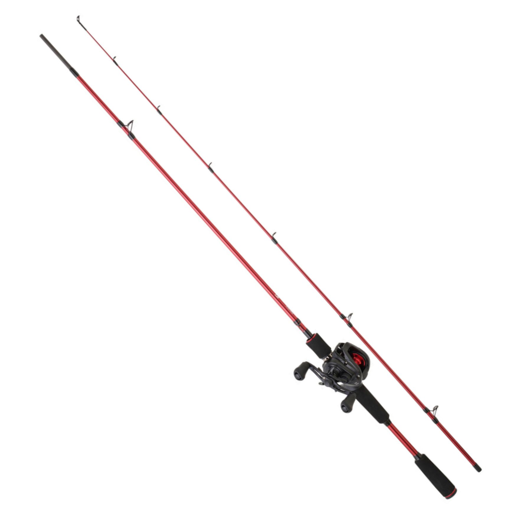 ENSEMBLE CASTING DAIWA CANNE PROASTER + MOULINET MEGAFORCE